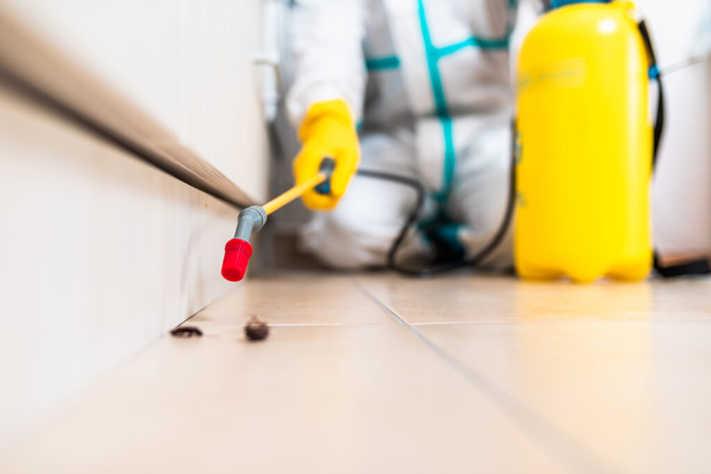 Celina Cockroach Experts