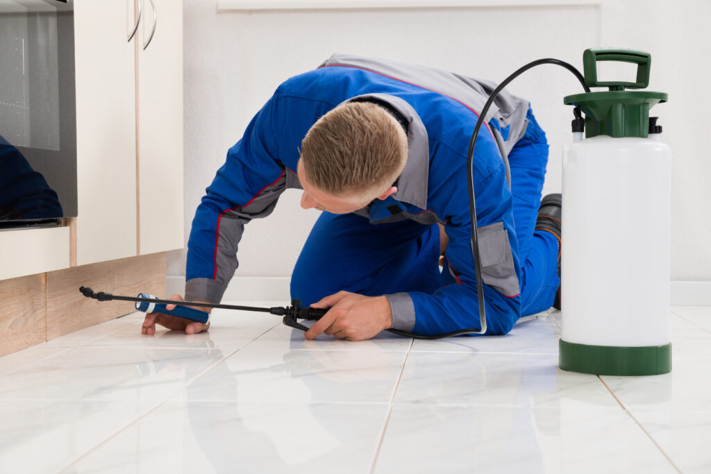 Celina Ant Control Xperts