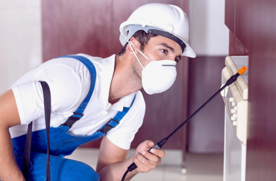 Celina local pest services