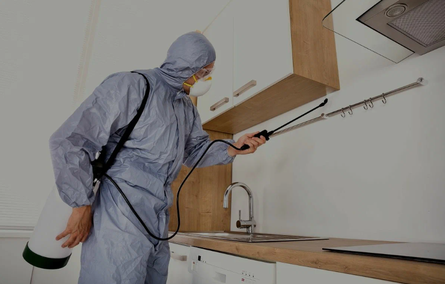 Celina pest managment