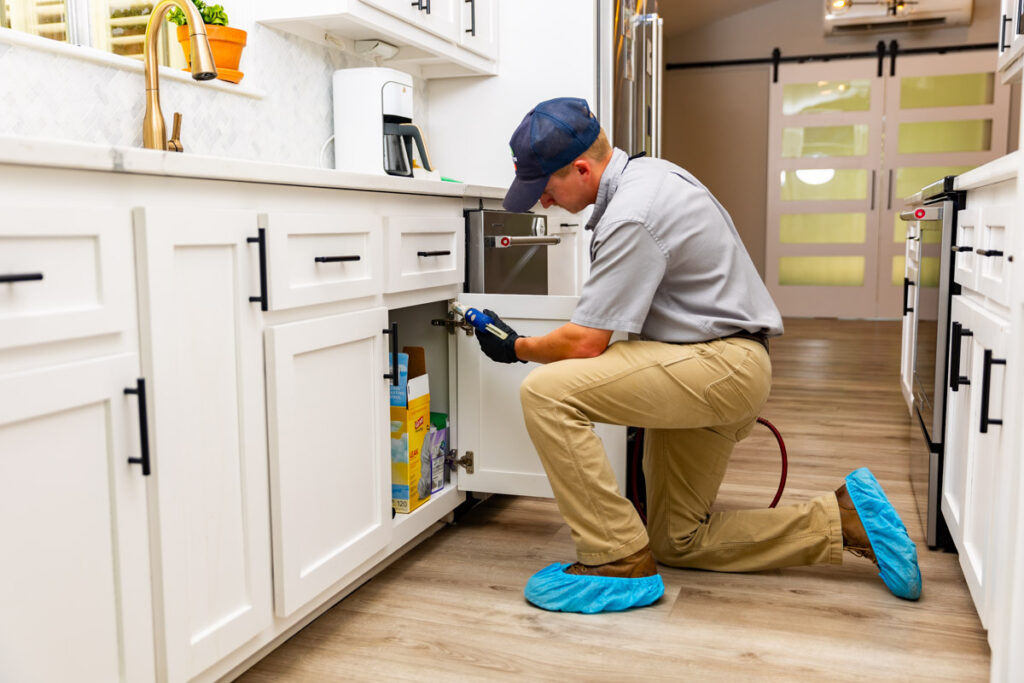Celina xpert pest management